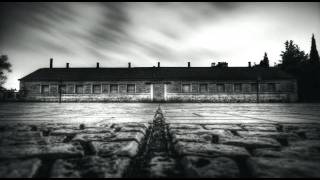 Darkwood - Prophecies