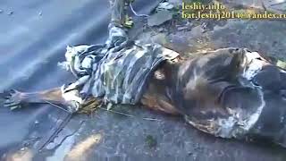 Зверства нелюдей украинского батальона Айдар