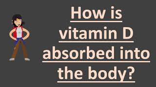 How is vitamin D absorbed into the body ?