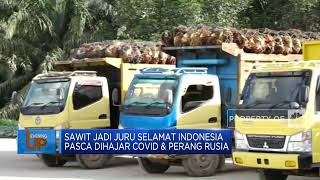 Sawit Jadi Juru Selamat Indonesia Pasca Dihajar Covid & Perang Rusia