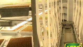 AgroTV en Holanda: Nunhems, reyes de los vegetales (#694 2016-11-19)