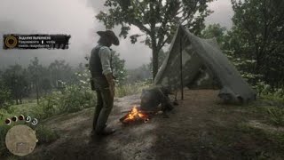 Red Dead Redemption 2 историческая несправедливость