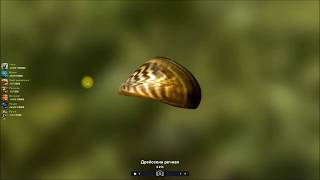 Дрейссена речная, Двустворчатые моллюски в игре Трофейная рыбалка 2