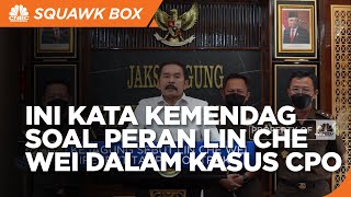 Soal Peran Lin Che Wei, Ini Kata Kemendag