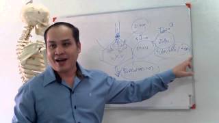 กรณีศึกษา โรคลมในท้อง/ กรดไหลย้อน