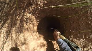 Digging a 119g nugget down deep.