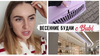 НОВИНКИ ZARA HOME Кекс и его приключения