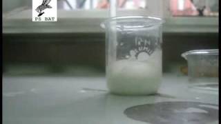 Acetylenek Srebra- Synteza / Silver Acetylene - synthesis
