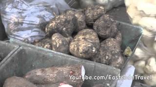 Taro and Jícama  Yam Bean stall