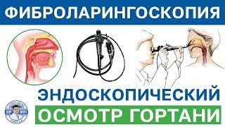Фиброларингоскопия (гортань)