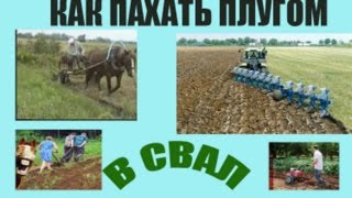 Как пахать в свал(склад).Сеем сидераты(масляничная редька.