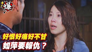 《多情大爆爆》多情城市 EP195 好恨好痛好不甘 如萍要報仇？