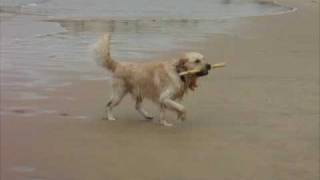Byte at the Beach