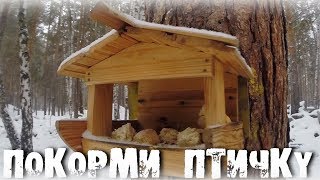 КОРМУШКИ СВОИМИ РУКАМИ!