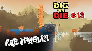 ГДЕ ГРИБЫ? / Dig or Die #13
