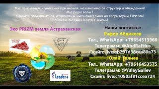 07.06.2019г. в 19:00 МСК новости РОД МАО