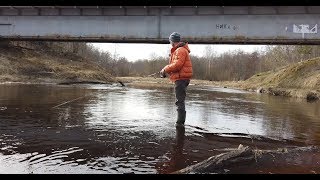 Черная речка (Ленобласть). Разведка местности и поиск рыбы.