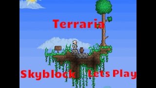 Terraria Skyblock Ep. 1