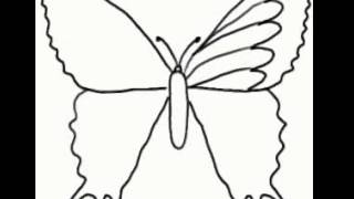 How to draw a butterfly - kelebek nasıl çizilir
