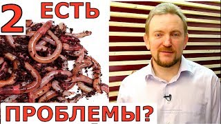 ПРОБЛЕМЫ и их РЕШЕНИЕ при выращивании червей дома
