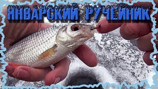 Безмотылка "Ручейник" - поклевки плотвы на мормышку с кивком!