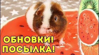 ПОДАРКИ ДЛЯ ПОДПИСЧИКОВ / ПРИЗОВОЙ ФОНД ФАН ВСТРЕЧА / ЗОО ПОКУПКИ с Banggood