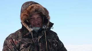 Пока скользят нарты. Долганы.