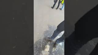 влог как мы готовимся к чемпионату мира по молодёжному хоккею на территории школы