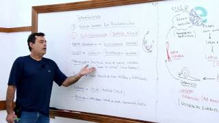 Parasitologia: esquitossomose