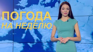 Ждём потепление? Прогноз погоды с 10 по 16 мая 2021. Погода на неделю