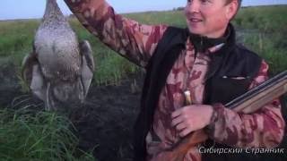Как в Сибири на утку  ходят)))