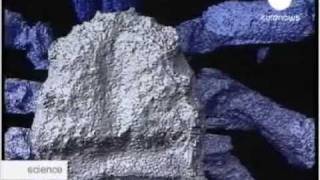 Пауку - 300 миллионов лет