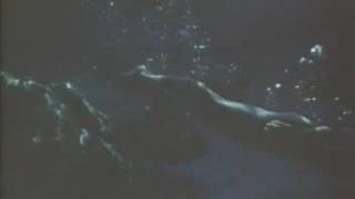 Dolphin And Woman