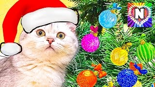 СМЕШНОЕ ВИДЕО ПРО КОТЕНКА СИМКА и Ёлка  Приколы с котиками Смешное видео Настюшик и Котик Симка
