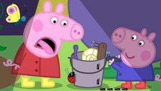 Peppa Pig Official Channel | Night Animals with Peppa Pig!