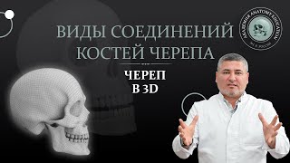 3D-Анатомия черепа. Виды соединений костей черепа. 3D Anatomy of the skull.Joints of the skull bones