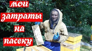 ЗАТРАТЫ НА ОСНОВАНИЕ ПАСЕКИ \\ пчеловодство с НУЛЯ