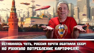 Оставалось чуть, Россия почти обогнала СССР! Но рухнуло потребление картофеля!
