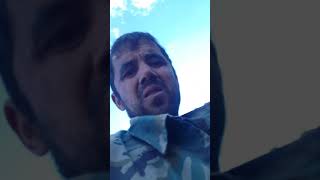 Кабк шикор