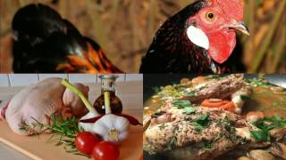شاهد لماذا كان النبي (ص) يحب أكل لحم الطيور وهو لحم الدجاج 1|  the benefits of bird chicken