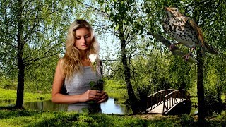 ? Соловушка ? Песня Про Любовь и Измену - За Душу Берет! Вы Только Послушайте!