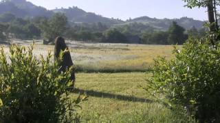 CUPSENI MARAMURES 2