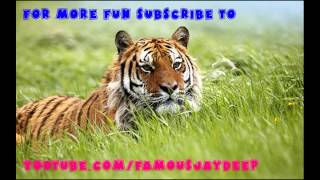 RJ Naved Asking To Police For Late Create  F I R