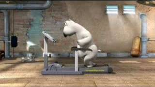 funny polar bear