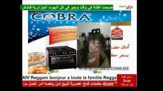 Dzair shop Sidi ali cassaigne Afif Reggam