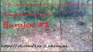 Пошук скарбів з металошукачем в Україні. Випуск #1 Прогулянка в лісі.