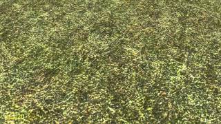 Fus Ro Dah!!! Garry's Mod addon reveiw!!!