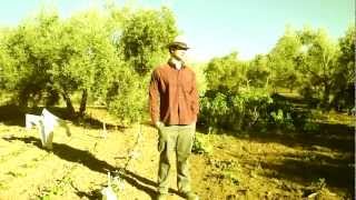 Manolo Vive En El Campo