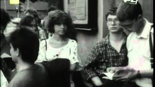 PKF 1987 39