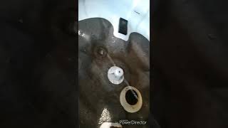 Вода в багажнике Solaris